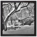 Central Park New York auf Leinwandbild Quadratisch gerahmt Größe 40x40