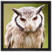Nordbüscheleule auf Leinwandbild Quadratisch gerahmt Größe 40x40