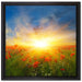 Mohnwiese in der Sonne auf Leinwandbild Quadratisch gerahmt Größe 40x40