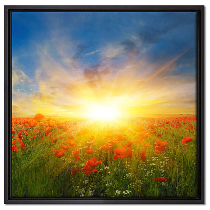 Mohnwiese in der Sonne auf Leinwandbild Quadratisch gerahmt Größe 60x60