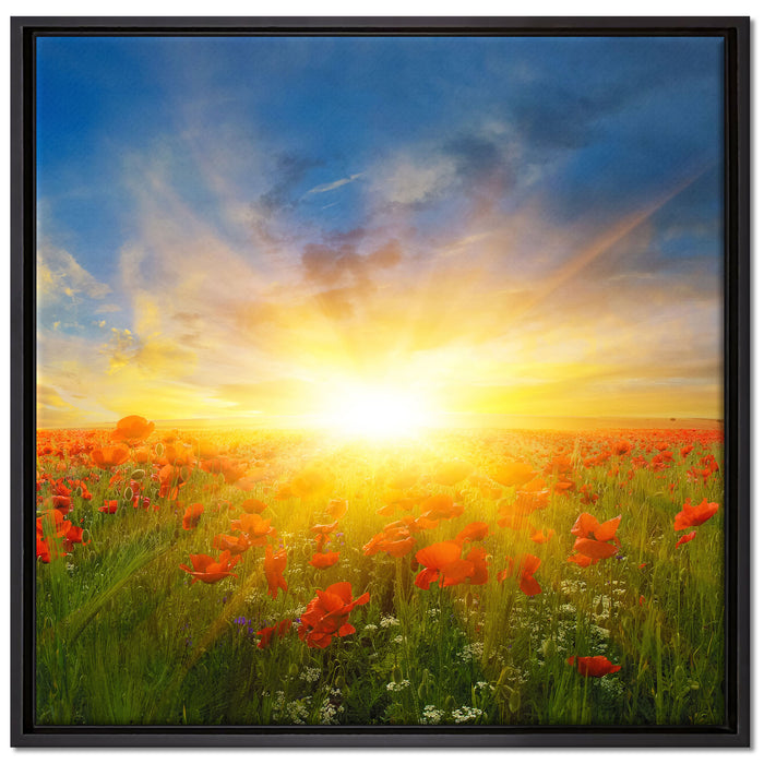Mohnwiese in der Sonne auf Leinwandbild Quadratisch gerahmt Größe 70x70