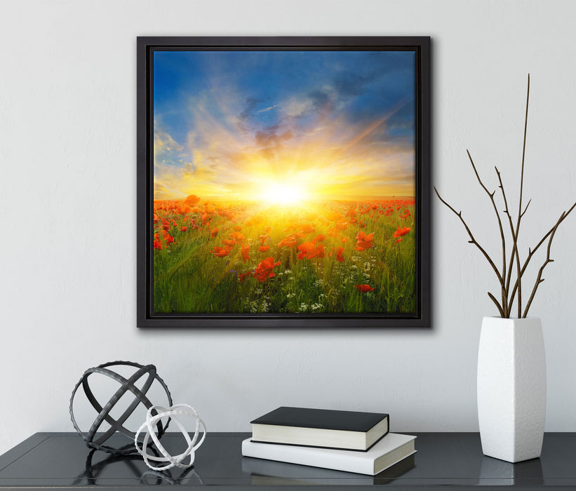 Mohnwiese in der Sonne  auf Leinwandbild Quadratisch gerahmt mit Kirschblüten