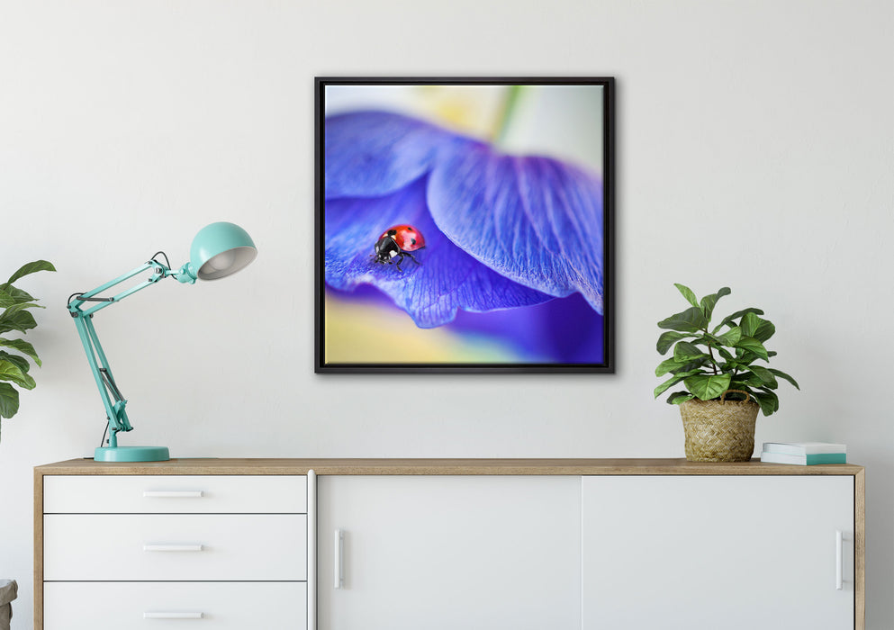 Marienkäfer auf lila Blüte auf Leinwandbild gerahmt Quadratisch verschiedene Größen im Wohnzimmer
