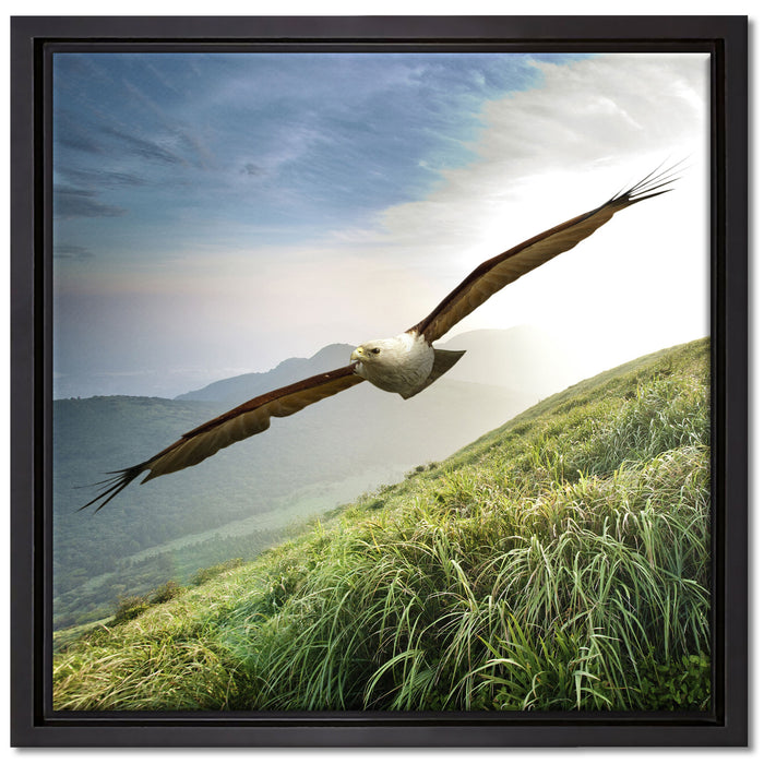 Majestätischer Weißkopfseeadler auf Leinwandbild Quadratisch gerahmt Größe 40x40