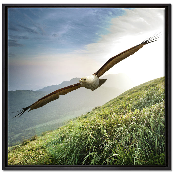 Majestätischer Weißkopfseeadler auf Leinwandbild Quadratisch gerahmt Größe 70x70