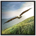 Majestätischer Weißkopfseeadler auf Leinwandbild Quadratisch gerahmt Größe 70x70
