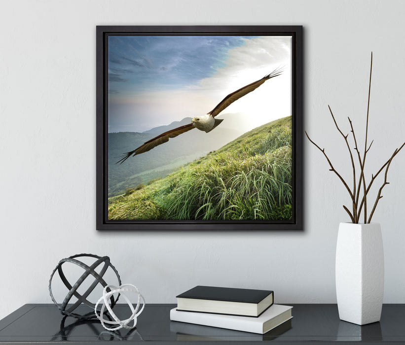 Majestätischer Weißkopfseeadler  auf Leinwandbild Quadratisch gerahmt mit Kirschblüten