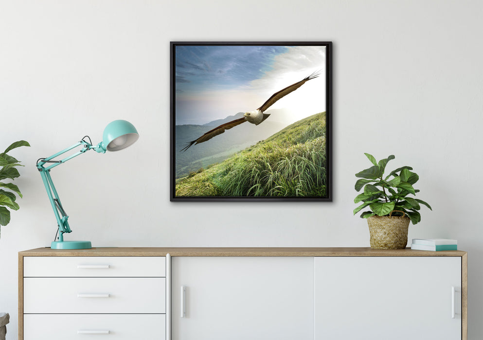 Majestätischer Weißkopfseeadler auf Leinwandbild gerahmt Quadratisch verschiedene Größen im Wohnzimmer