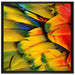 Bunte Papageienfedern auf Leinwandbild Quadratisch gerahmt Größe 70x70