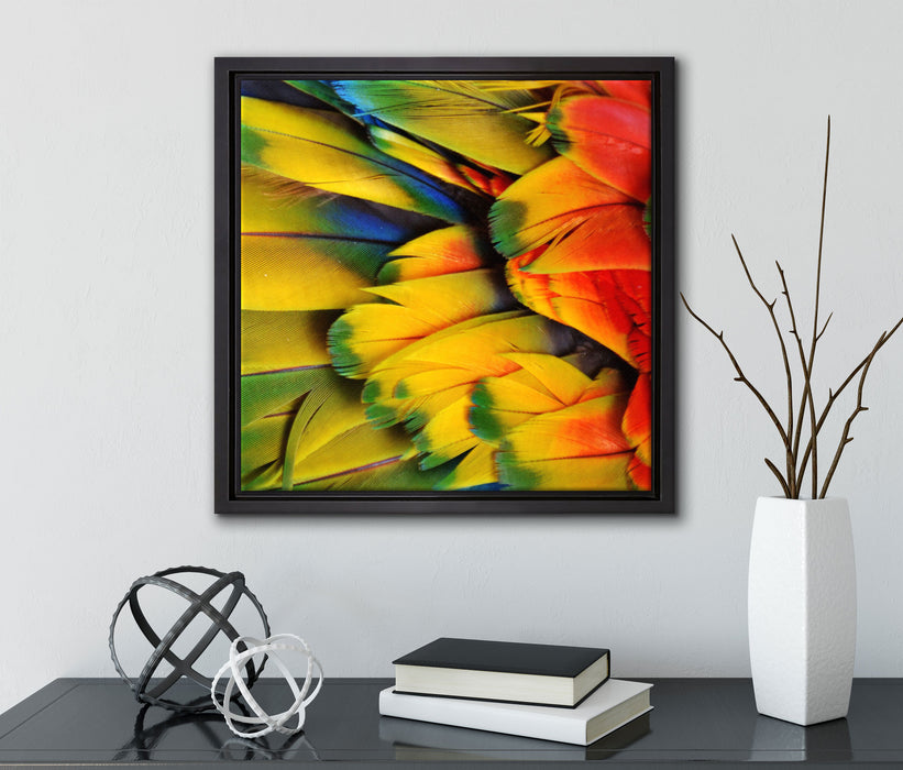 Bunte Papageienfedern  auf Leinwandbild Quadratisch gerahmt mit Kirschblüten