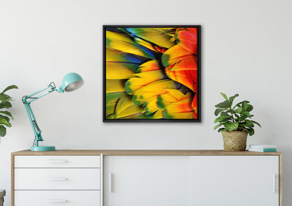 Bunte Papageienfedern auf Leinwandbild gerahmt Quadratisch verschiedene Größen im Wohnzimmer