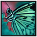 Wunderschöner Schmetterling auf Leinwandbild Quadratisch gerahmt Größe 70x70