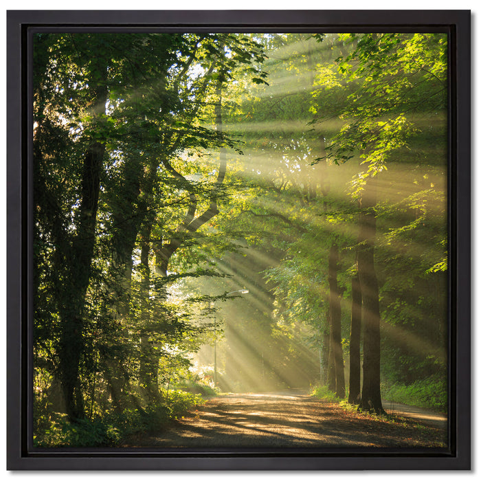 Waldweg im Frühling auf Leinwandbild Quadratisch gerahmt Größe 40x40