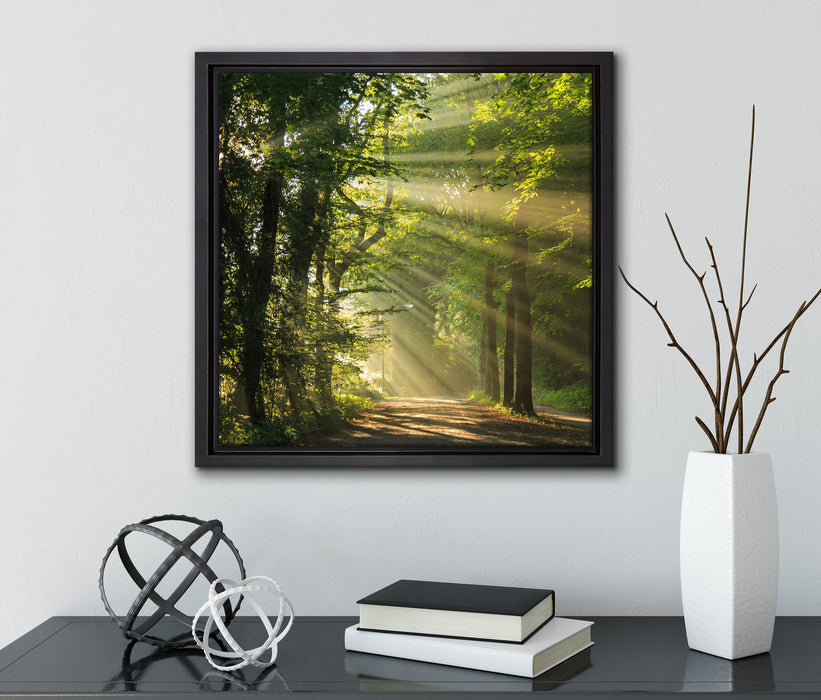 Waldweg im Frühling  auf Leinwandbild Quadratisch gerahmt mit Kirschblüten
