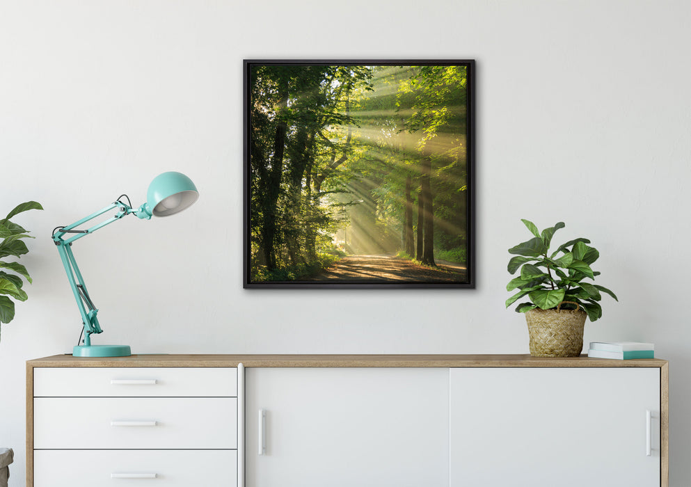 Waldweg im Frühling auf Leinwandbild gerahmt Quadratisch verschiedene Größen im Wohnzimmer