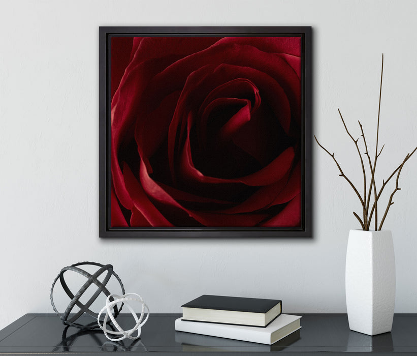Rote Rose  auf Leinwandbild Quadratisch gerahmt mit Kirschblüten