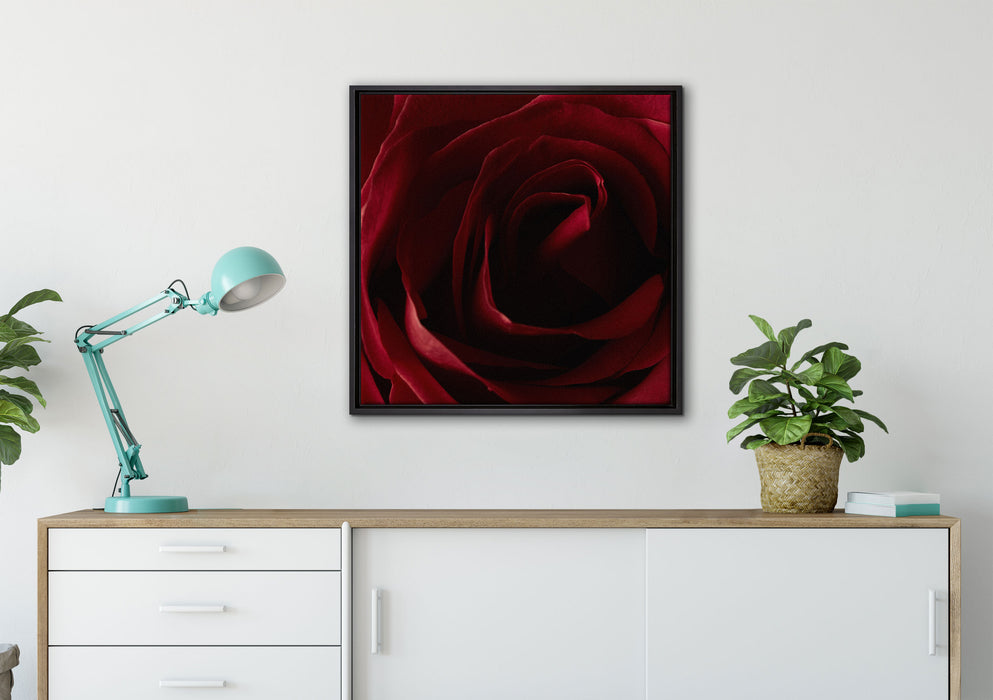 Rote Rose auf Leinwandbild gerahmt Quadratisch verschiedene Größen im Wohnzimmer