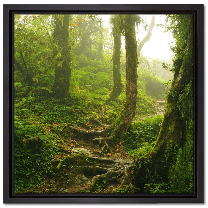 Unberührter Regenwald auf Leinwandbild Quadratisch gerahmt Größe 40x40