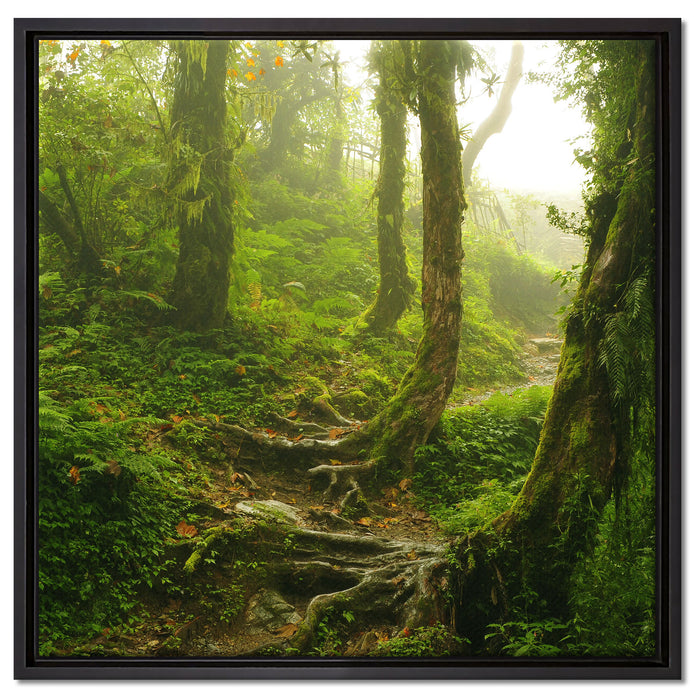 Unberührter Regenwald auf Leinwandbild Quadratisch gerahmt Größe 60x60