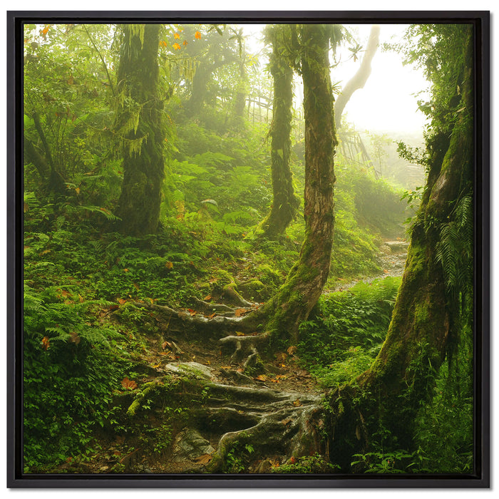 Unberührter Regenwald auf Leinwandbild Quadratisch gerahmt Größe 70x70
