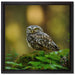 Niedliche Babyeule auf Leinwandbild Quadratisch gerahmt Größe 40x40