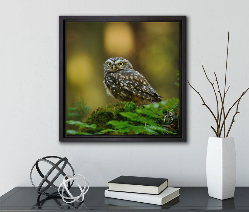 Niedliche Babyeule  auf Leinwandbild Quadratisch gerahmt mit Kirschblüten