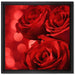 Drei rote Rosen auf Leinwandbild Quadratisch gerahmt Größe 40x40