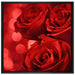 Drei rote Rosen auf Leinwandbild Quadratisch gerahmt Größe 70x70
