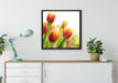Bunte Tulpenwiese auf Leinwandbild gerahmt Quadratisch verschiedene Größen im Wohnzimmer