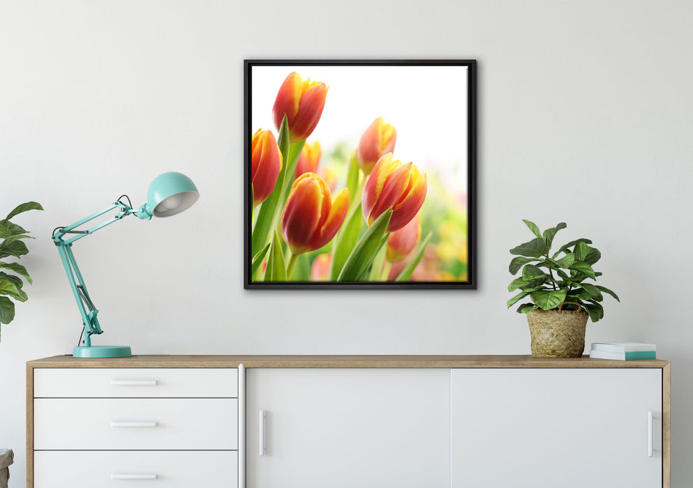 Bunte Tulpenwiese auf Leinwandbild gerahmt Quadratisch verschiedene Größen im Wohnzimmer