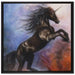 Traumhaftes schwarzes Einhorn auf Leinwandbild Quadratisch gerahmt Größe 70x70