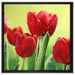Rote Tulpen mit Tropfen bedeckt auf Leinwandbild Quadratisch gerahmt Größe 60x60