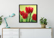Rote Tulpen mit Tropfen bedeckt auf Leinwandbild gerahmt Quadratisch verschiedene Größen im Wohnzimmer