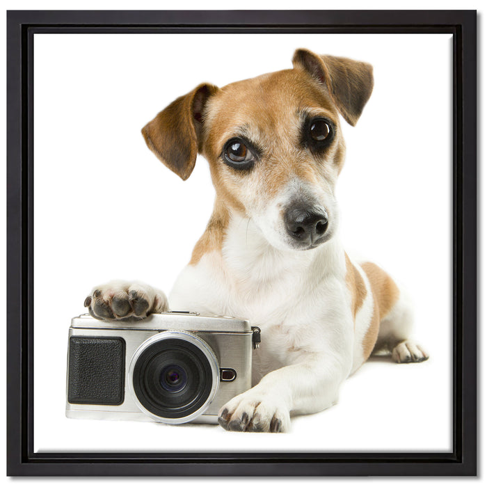 Niedlicher Hundewelpe mit Kamera auf Leinwandbild Quadratisch gerahmt Größe 40x40