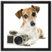 Niedlicher Hundewelpe mit Kamera auf Leinwandbild Quadratisch gerahmt Größe 40x40