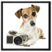 Niedlicher Hundewelpe mit Kamera auf Leinwandbild Quadratisch gerahmt Größe 60x60