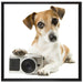Niedlicher Hundewelpe mit Kamera auf Leinwandbild Quadratisch gerahmt Größe 70x70
