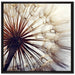 Schöne Pusteblume auf Leinwandbild Quadratisch gerahmt Größe 70x70
