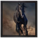 Elegantes schwarzes Pferd auf Leinwandbild Quadratisch gerahmt Größe 40x40