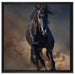 Elegantes schwarzes Pferd auf Leinwandbild Quadratisch gerahmt Größe 60x60