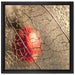 Rote Physalis auf Leinwandbild Quadratisch gerahmt Größe 40x40