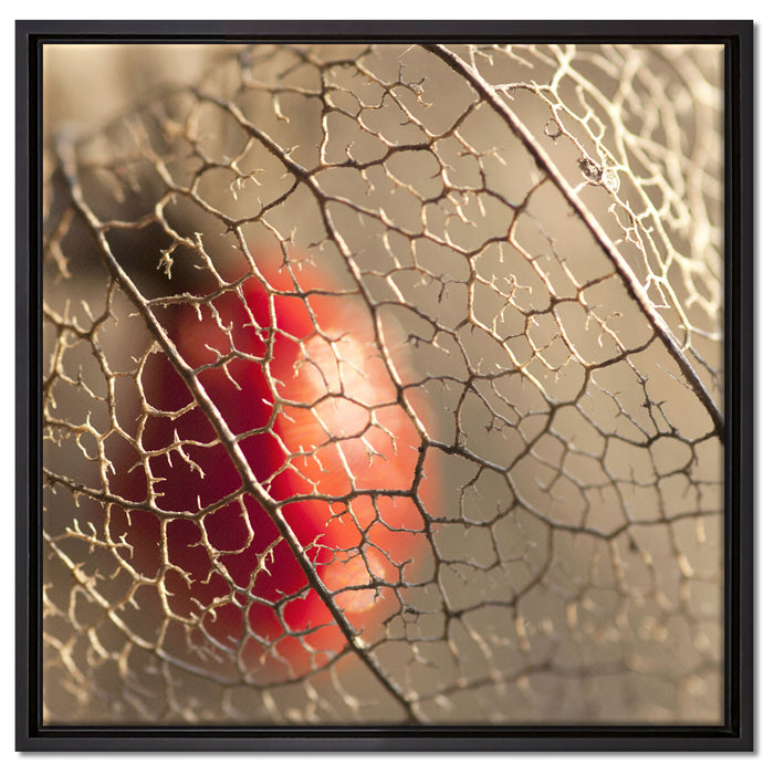 Rote Physalis auf Leinwandbild Quadratisch gerahmt Größe 60x60