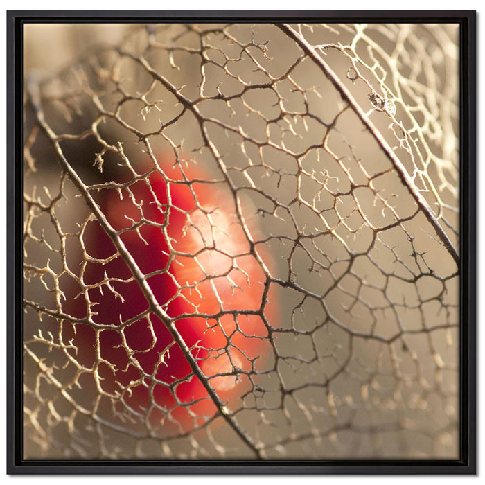 Rote Physalis auf Leinwandbild Quadratisch gerahmt Größe 70x70