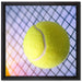 Tennisschläger Tennisball auf Leinwandbild Quadratisch gerahmt Größe 40x40
