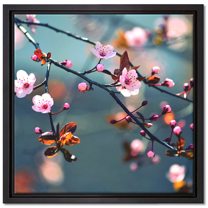 Exotische Sakura Blüten auf Leinwandbild Quadratisch gerahmt Größe 40x40