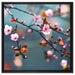 Exotische Sakura Blüten auf Leinwandbild Quadratisch gerahmt Größe 60x60