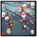Exotische Sakura Blüten auf Leinwandbild Quadratisch gerahmt Größe 70x70