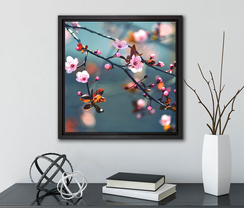 Exotische Sakura Blüten  auf Leinwandbild Quadratisch gerahmt mit Kirschblüten