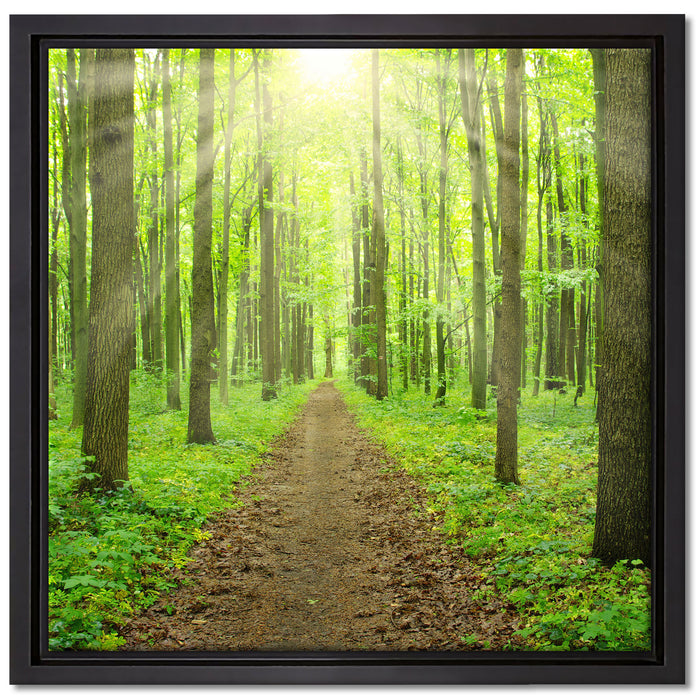 Sonne im Wald auf Leinwandbild Quadratisch gerahmt Größe 40x40