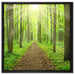 Sonne im Wald auf Leinwandbild Quadratisch gerahmt Größe 60x60